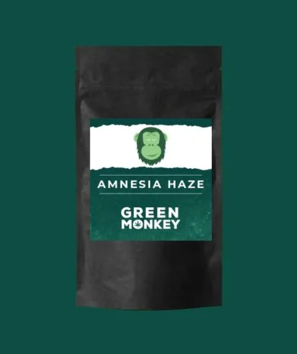 AMNESIA HAZE