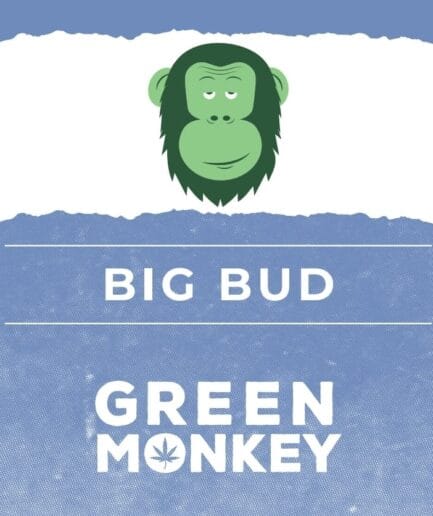 BIG BUD