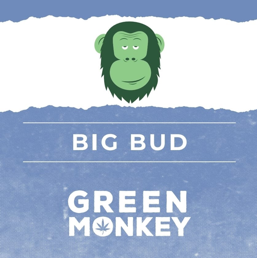 BIG BUD SITO