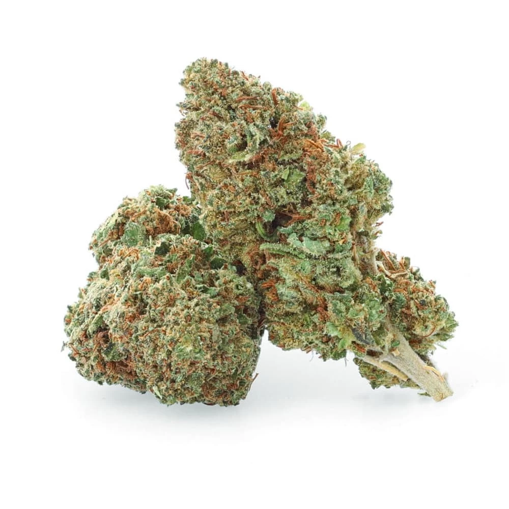 royal-cheese-cbd-indoor